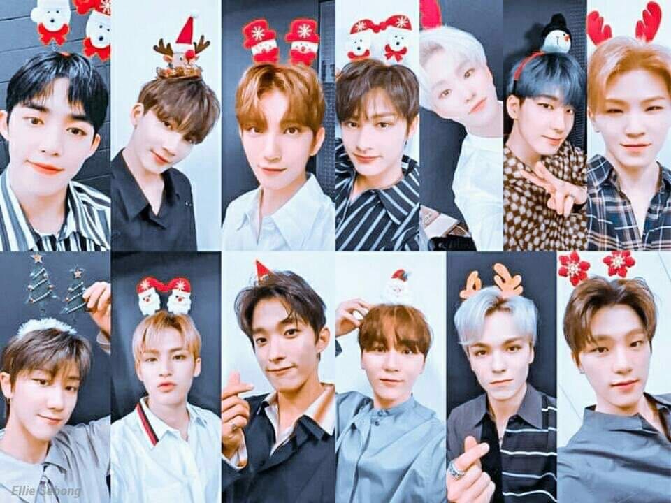 v live