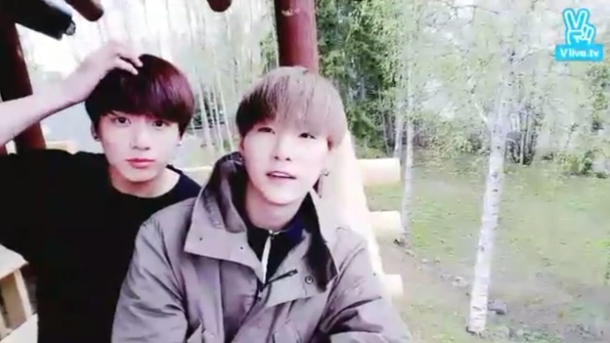 V LIVE - BTS Live