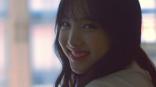 v live