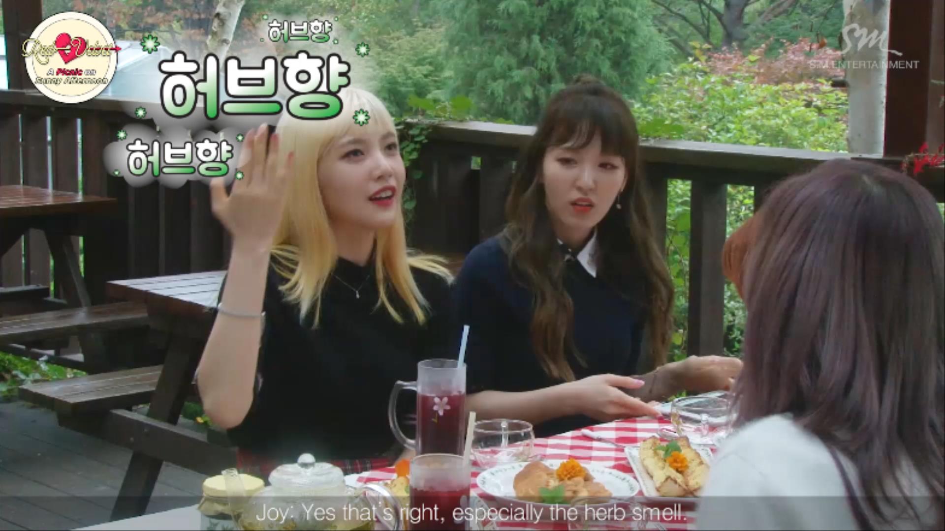 Red Velvet_A Picnic On A Sunny Afternoon PART 2 - Clip 1