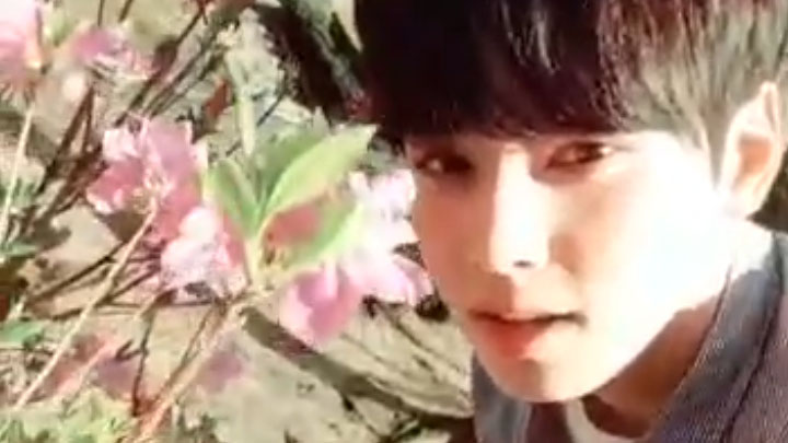 [ASTRO] 벚꽃보다 은우꽃🌸🌿 (Flower viewing with Eunwoo)