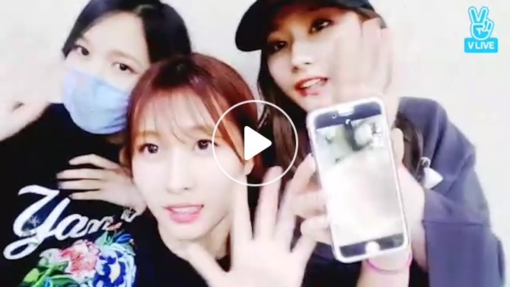 v live