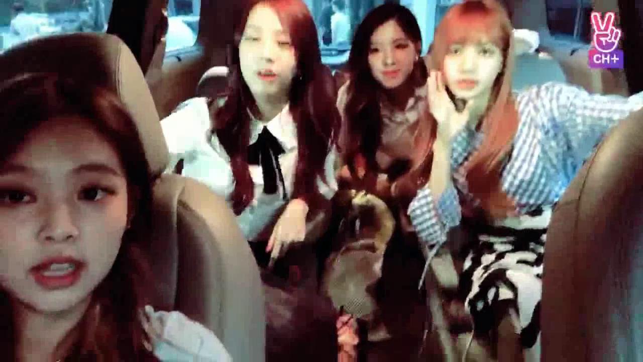 [CH+ mini replay] 잠깐와쪙😽💖 We are only here for a short time