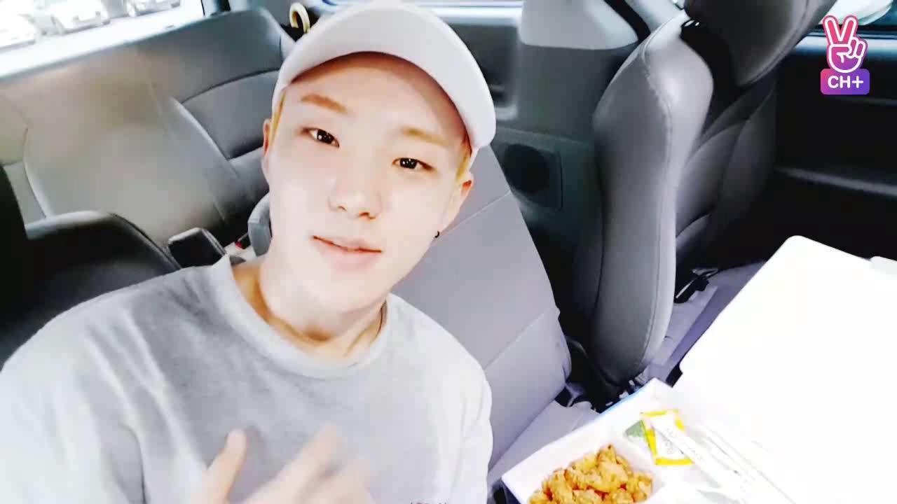 [CH+ mini replay] SEVENTEEN 'Once a Day HOSHI'