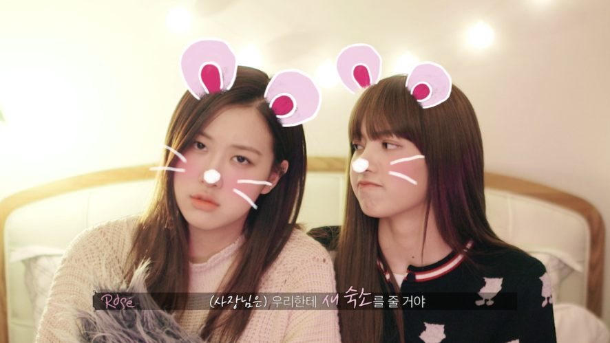 V Live Blackpink 블핑하우스 Blackpink House Teaser Rose
