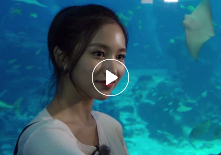 v live