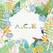 A.C.E (에이스)