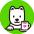 Dingo Story / 딩고스토리