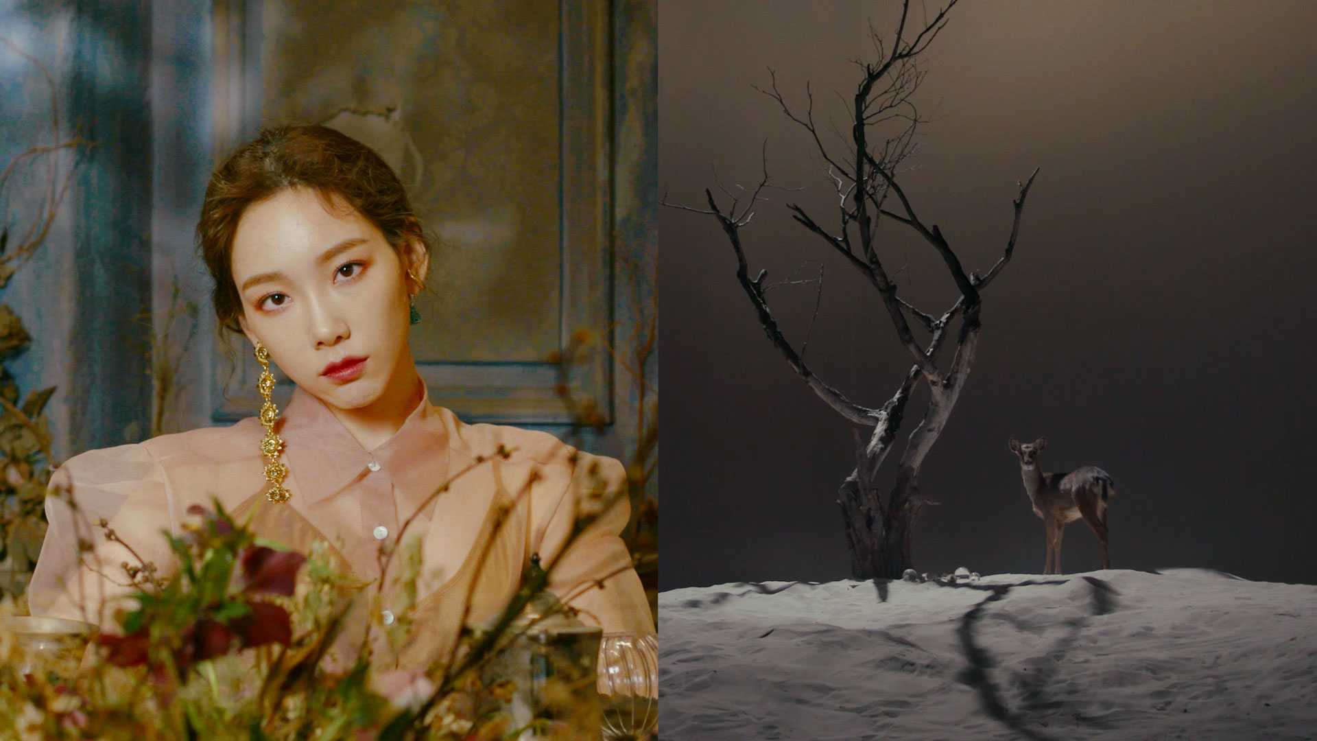 TAEYEON 태연 '사계 (Four Seasons)' MV