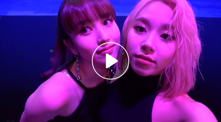 V Live Twice Vlog Fancy 8 V Live Twice Vlog Fancy 8