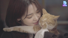 BEHIND! EP. 03 Finding small happiness!