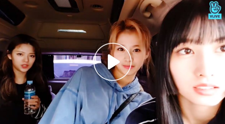 v live