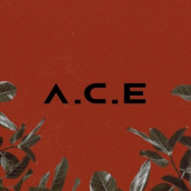 A.C.E (에이스)