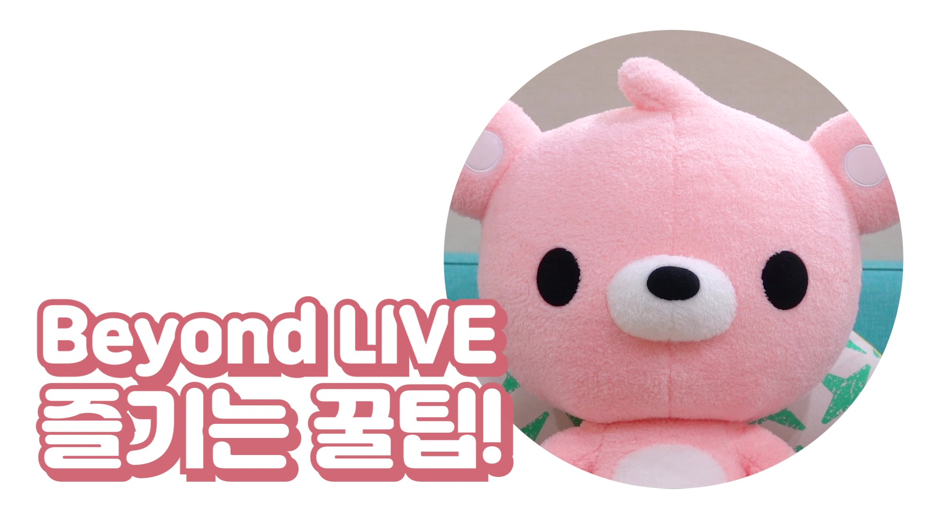 Beyond LIVE 즐기는 꿀팁! SPECIAL tips to enjoy Beyond LIVE! (feat. #NCT127)