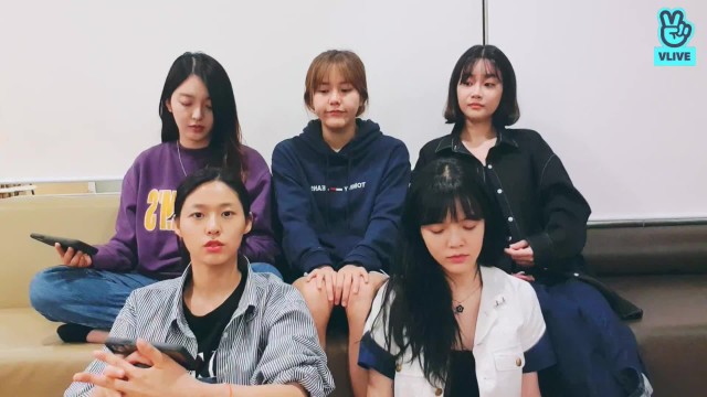 Aoa V Live