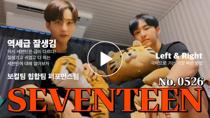 V LIVE - SEVENTEEN 🐰Jeonghan&Hoshi showing Hoshi's tiger ...