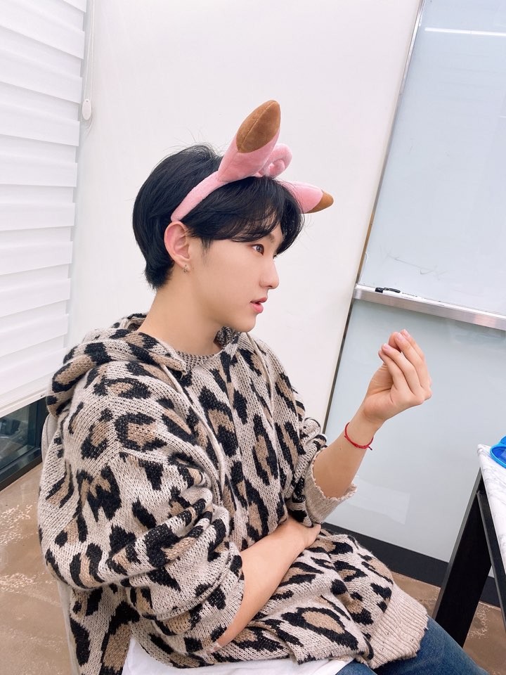 V Live V Live