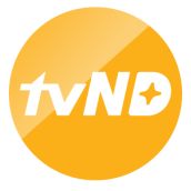 tvN D