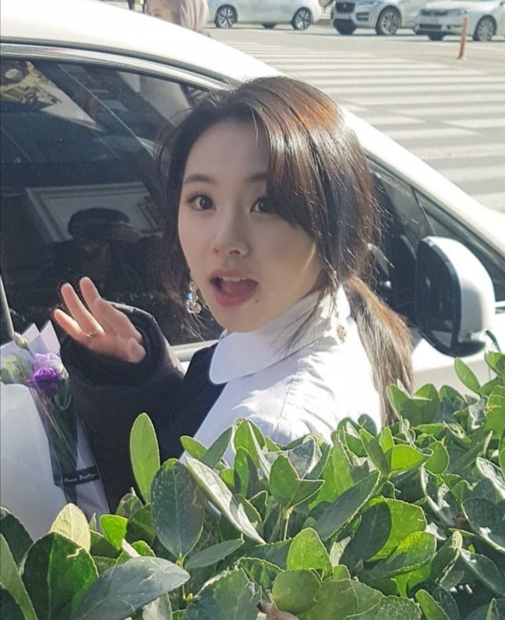 v live