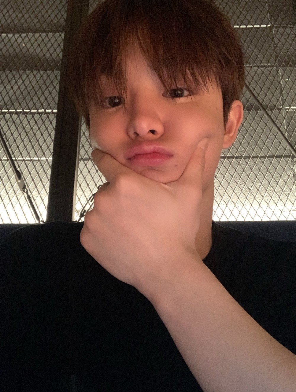 V Live V Live