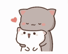 V LIVE