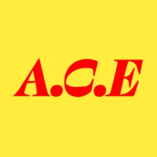A.C.E (에이스)