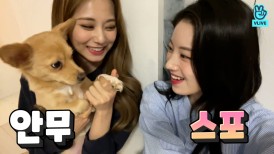 v live search