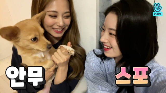 v live