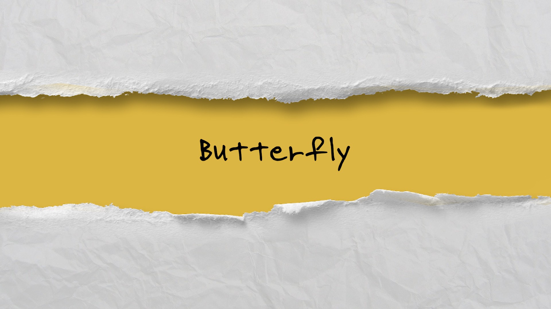 [Special Clip] Dreamcatcher(드림캐쳐) 다미 'Butterfly' 자작곡