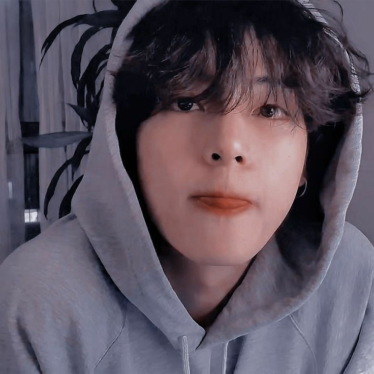 taehyung in grey hoodie