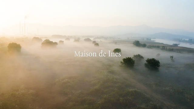 메종 드 이네스 Maison de Ines_2021 DIFACUL FASHION FILM