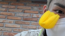 서프라이즈 3주년 축하해 픽스들